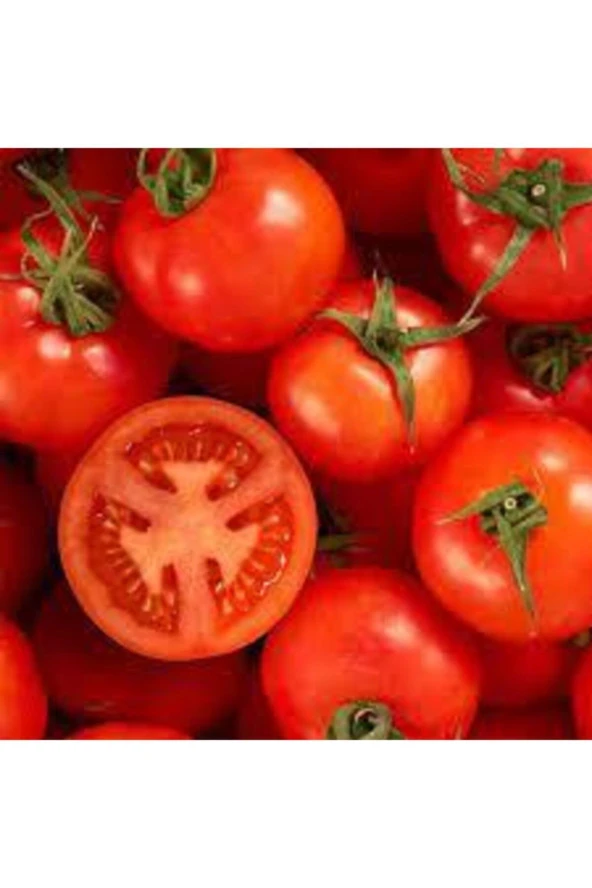 Falkon Domates Tohumu  25 Adet - Resim 3