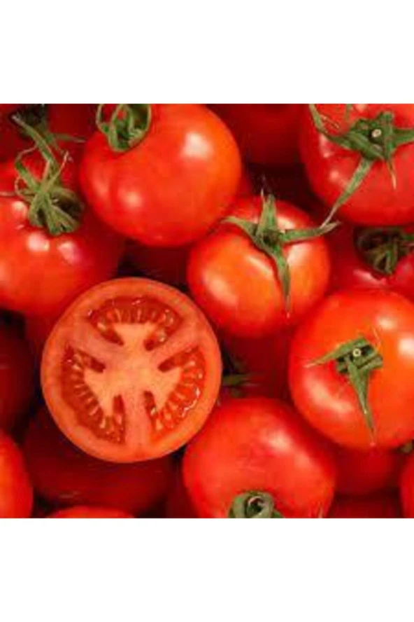 Falkon Domates Tohumu 50 Adet - Resim 3