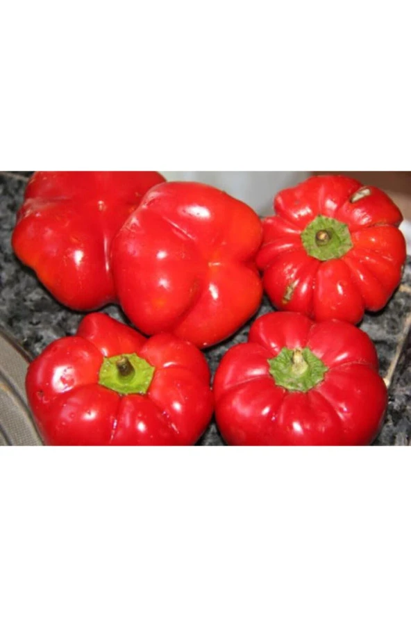 20 Adet Nadir Domates Biberi Tohumu Saksı Toprak Sürpriz Hediye Tohumla Gönderilir - Resim 3