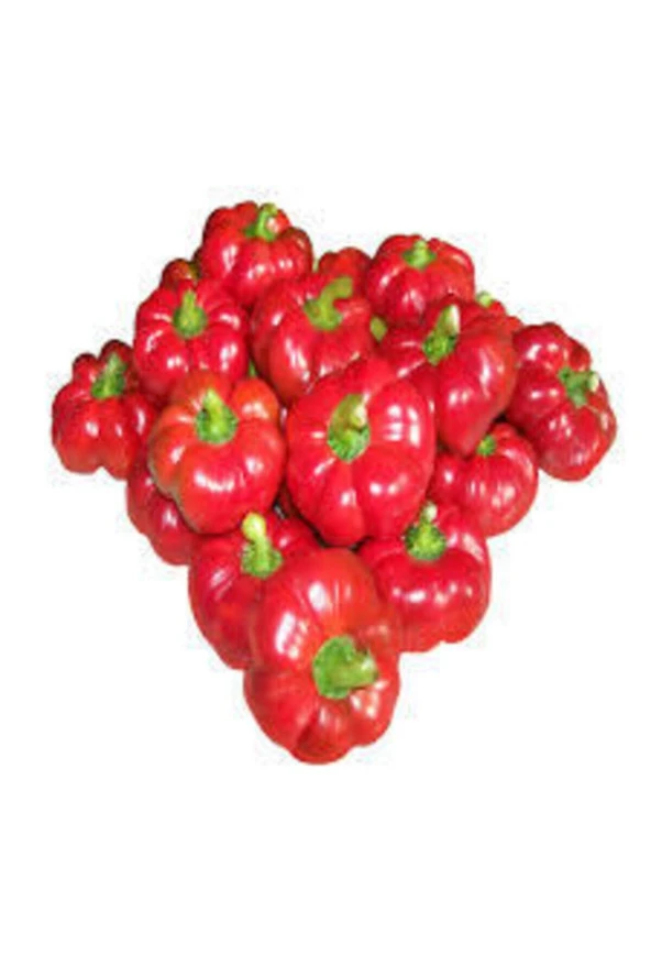 20 Adet Nadir Domates Biberi Tohumu Saksı Toprak Sürpriz Hediye Tohumla Gönderilir - Resim 4