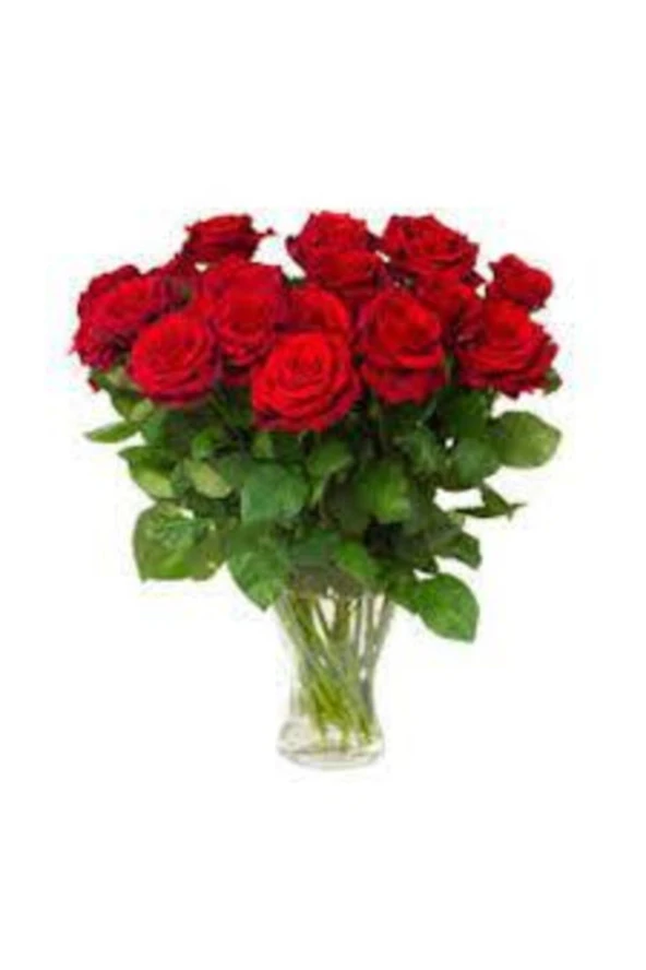 Kırmızı Gül Tohumu 15 adet - Resim 3