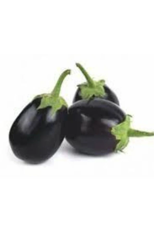 Patlıcan Tohumu 30 Adet - Resim 3