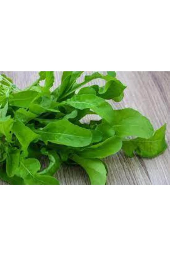 100 Adet Yerli Roka Saksı Toprak Ata Sürpriz Hediye Tohum - Resim 3