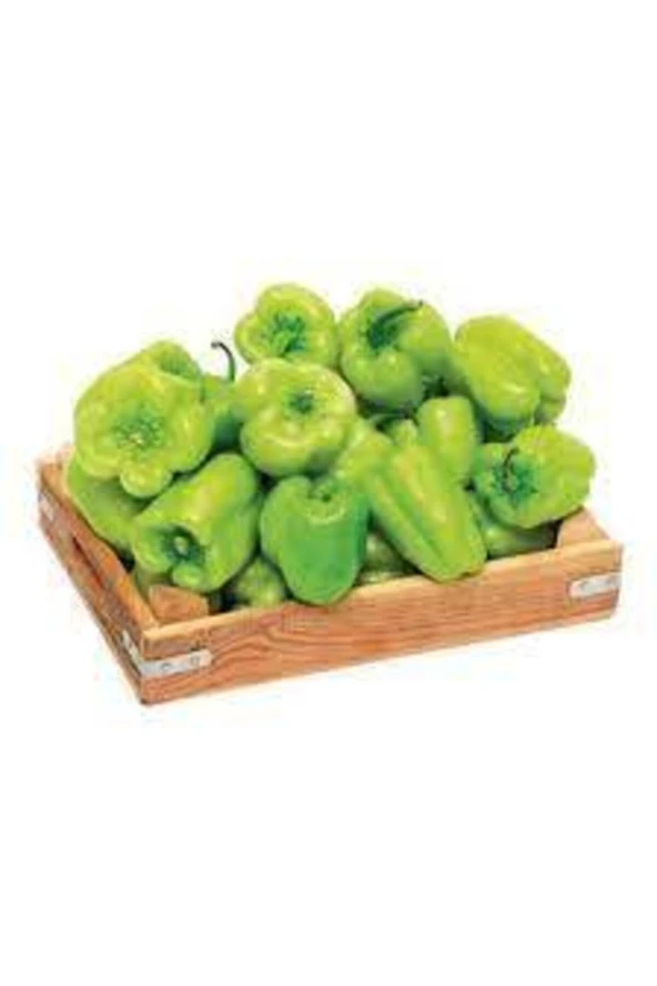 Kandil Dolmalık İnce Kabuk Tatlı Meşhur İlaçsız Dolma Biber Tohum - Resim 2