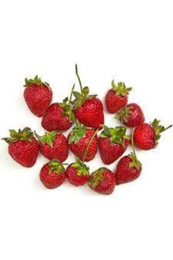 10 Adet Tohum Orjinal Organik Çilek Tohumu Doğal Çilek Tohumu Saksı Toprak Hediyeli Sürpriz Hediye - Resim 2