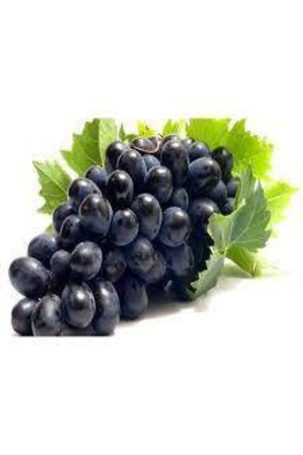 20 Adet Tohum Siyah Üzüm Black Magic Asma Ağacı Tohumu Sürpriz Hediye Bonsai Ağacı Tohumu - Resim 2