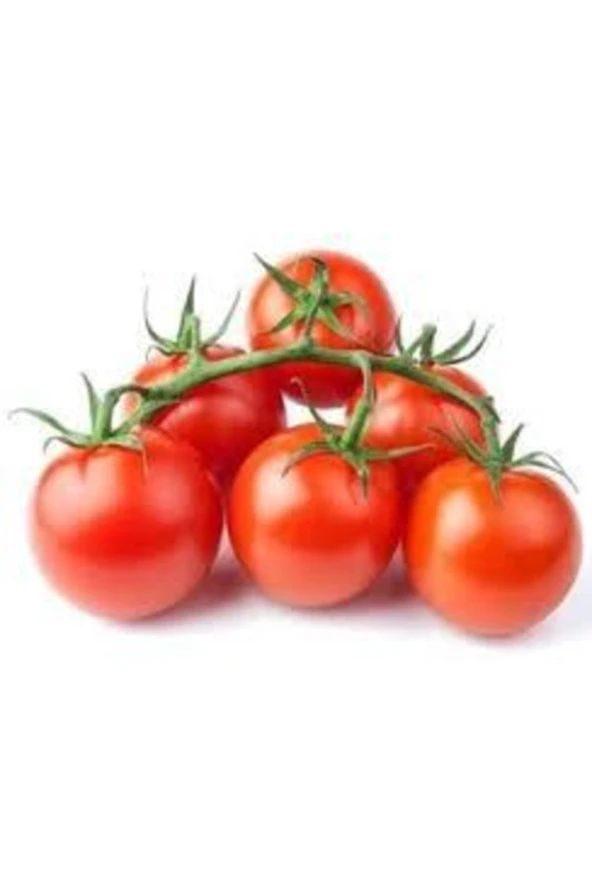 10 Adet Erkenci Salkım Domates Saksı Toprak Tohum ürün görseli 1