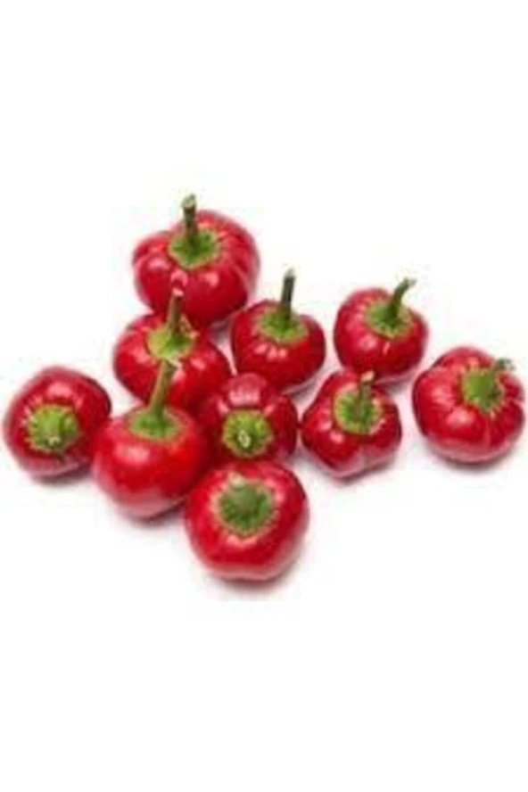 10 Adet Tohum Nadir Tatlı Burkita Biberi Tohumu Biber Tohumu Süpriz Hediye Sebze Tohumu ürün görseli