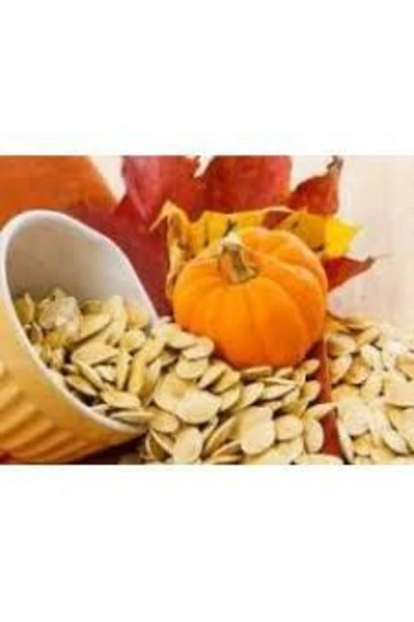 65 Adet Tohum Eko Paket Çekirdeklik Nevşehir Kaliteli Kabak Çekirdeği Tohumu ürün görseli