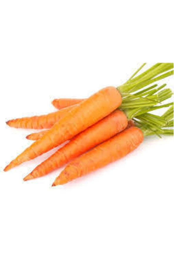 100 Adet Tohum Geleneksel Etli Erkenci Nantes Havuç Ata Tohumu - Resim 3