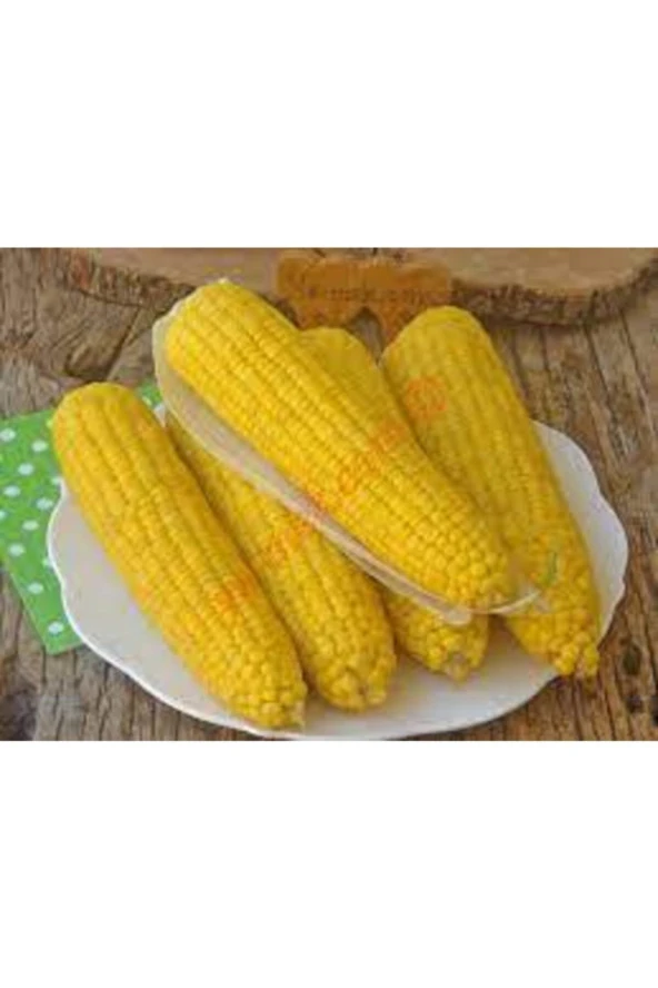 100 Adet Tohum Eko Paket Süt Mısırsüt Mısır Tohumu Darı Tohumu Mısır Tohumu - 4