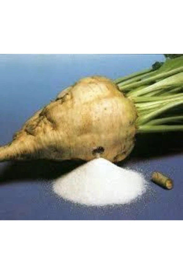 30 Adet Tohum Şeker Pancarı Tohumu Beyaz Şeker Pancarı Tohumu Sürpriz Hediye - Resim 3