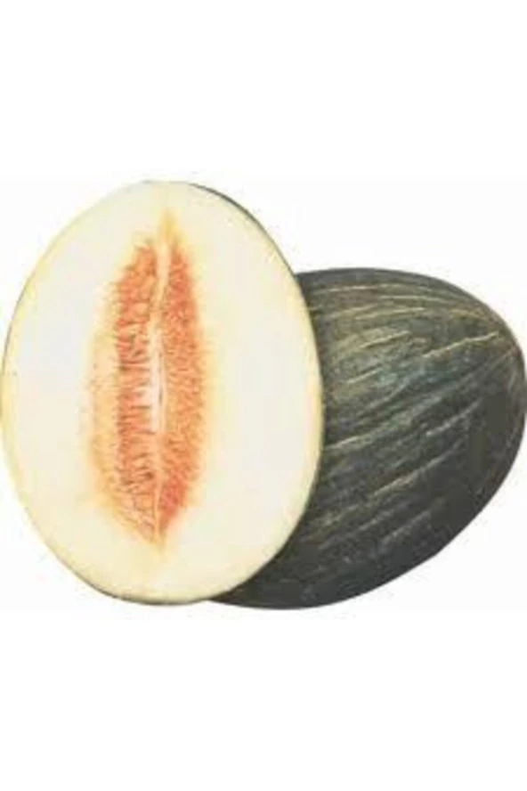 Tohum Kışlık Siyah Kavun 15 Adet ürün görseli