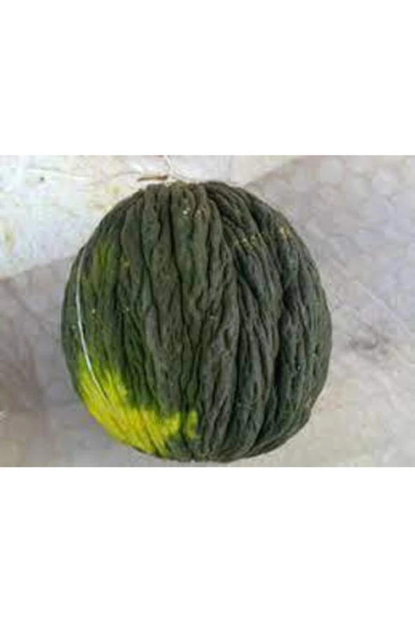 Tohum Kışlık Siyah Kavun 15 Adet - Resim 3