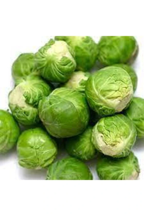 Tohum Yerli Bürüksel Lahana  20 Adet - Resim 3