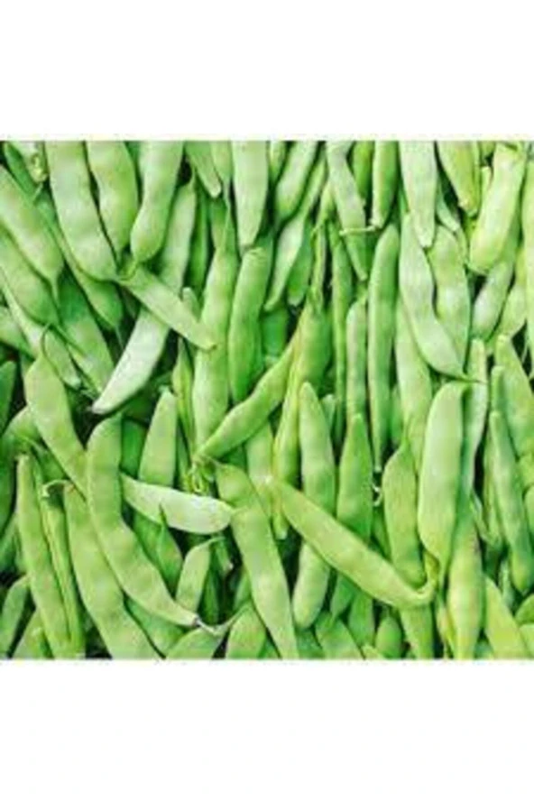 50 Adet Tohum Ayşe Kadın Fasulye Alman Kılçıksız Fasulye Fasulye Tohumu Süpriz Hediye Tohumlu - Resim 2