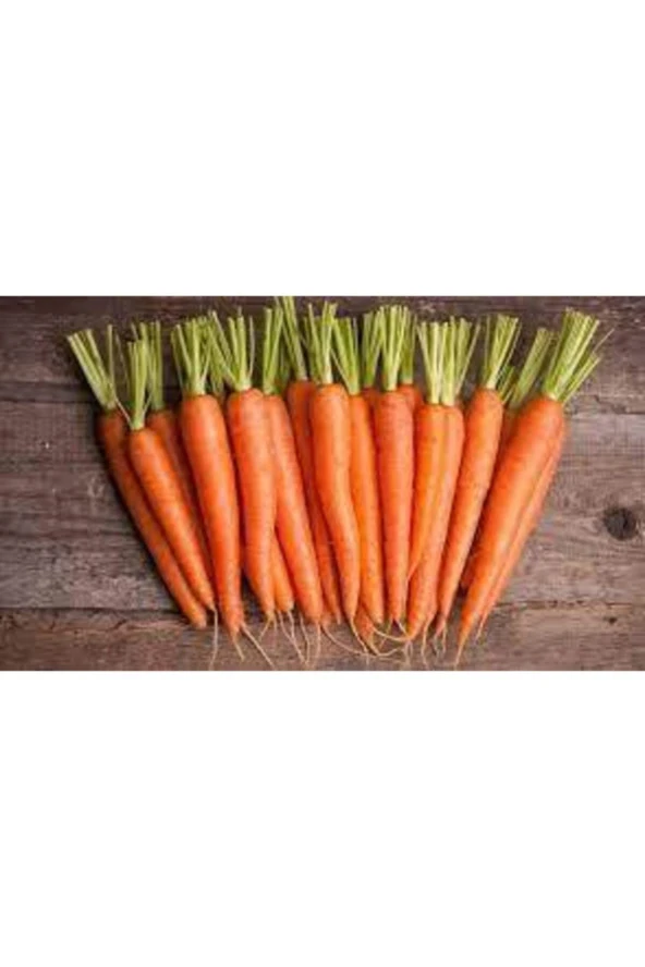 100 Adet Tohum Havuç Etli Erkenci Nantes Havuç Tohumu - Resim 3