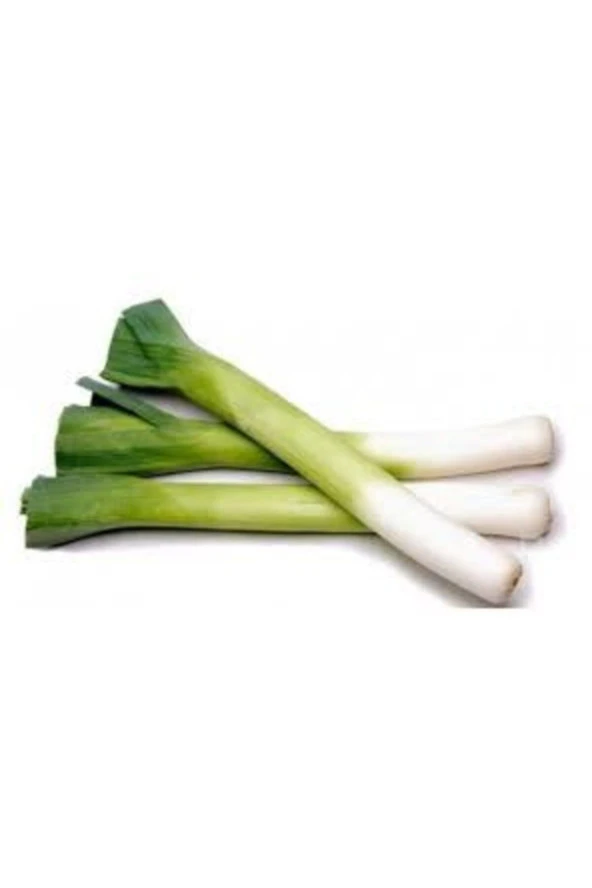 20 Adet Tohum Yeşil Prasa Pırasa Tohumu Orjinal Pırasa Tohumu ürün görseli