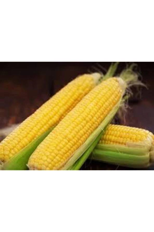 20 Adet Tohum Eko Paket Süt Mısırsüt Mısır Tohumu Darı Tohumu Mısır Tohumu Sürpriz Hediye Tohumlu - 2