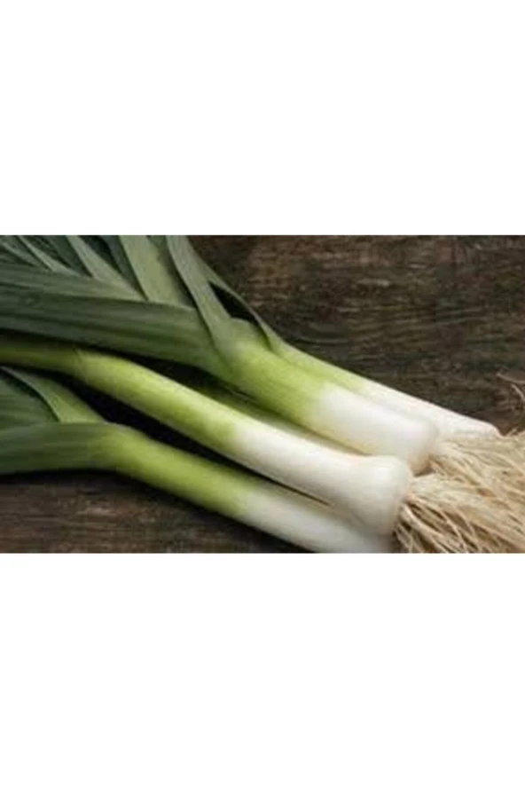 20 Adet Tohum Yeşil Prasa Pırasa Tohumu Orjinal Pırasa Tohumu - Resim 4