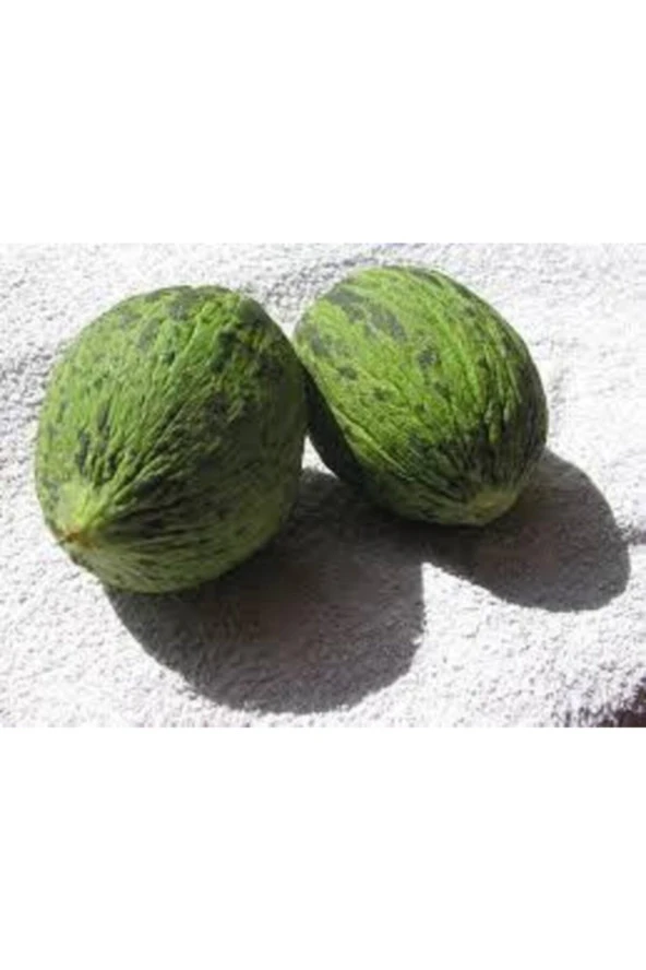 15 Adet Tohum Kelek Tohumu Turşuluk Kelek Tohumu Yeşil Kelek - Resim 4