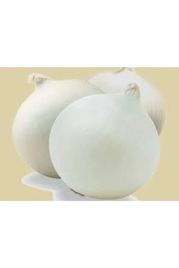 50 Adet Tohum Orjinal Tatlı Beyaz Soğan  Tohumu ürün görseli