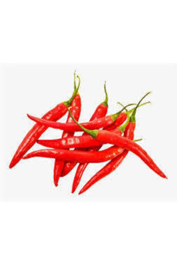 25 Adet Tohum Şili Biberi Tohumu Çok Acı - Resim 3