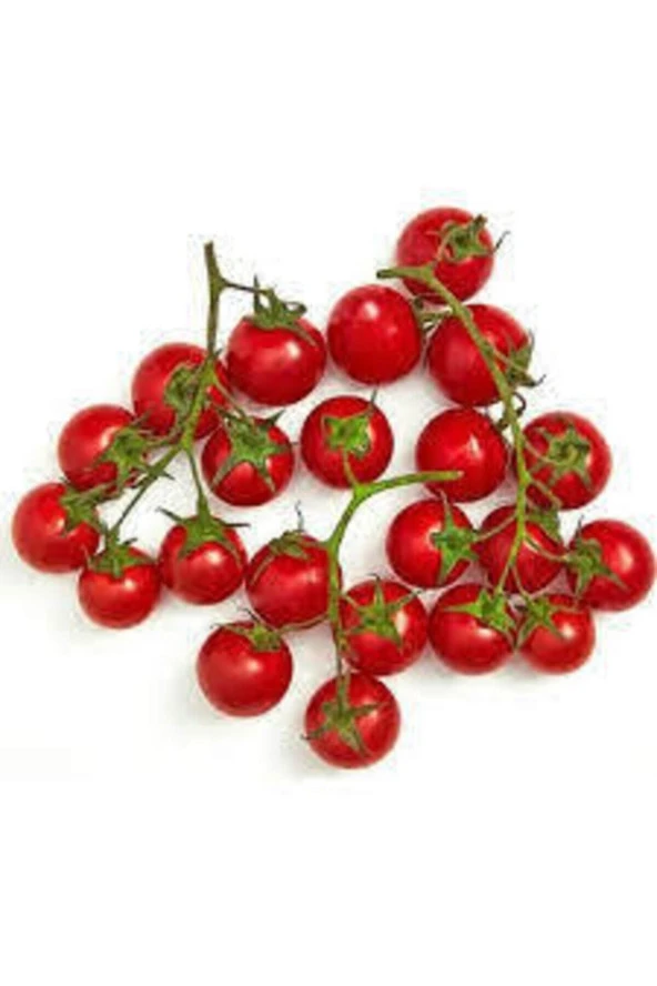 10 Adet Tohum Süper Paket Kiraz Domates Tohumu - Resim 3