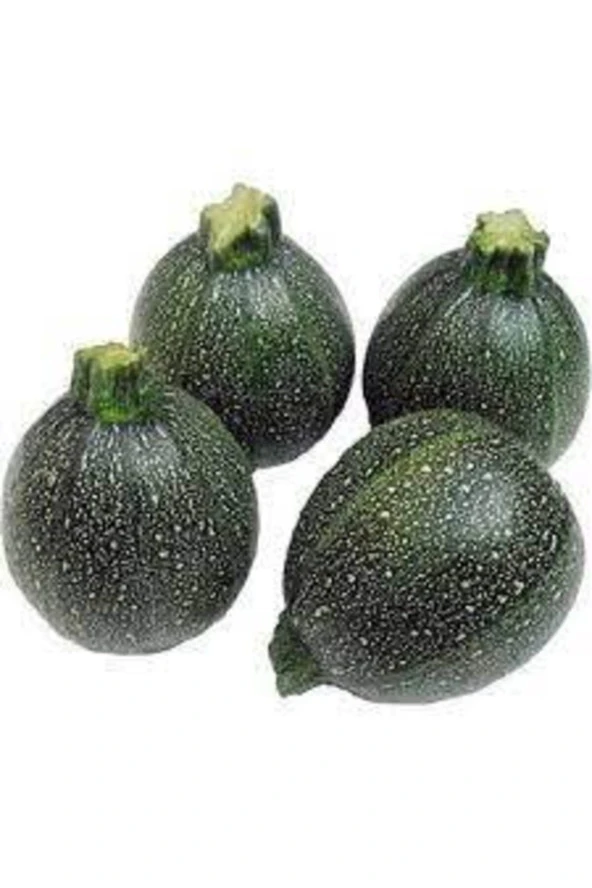 100 Adet Tohum Süper Paket Dolmalık Nadir Topak Kabak Tohumu Yuvarlak Kabak Tohumu Heiye Tohumludur ürün görseli