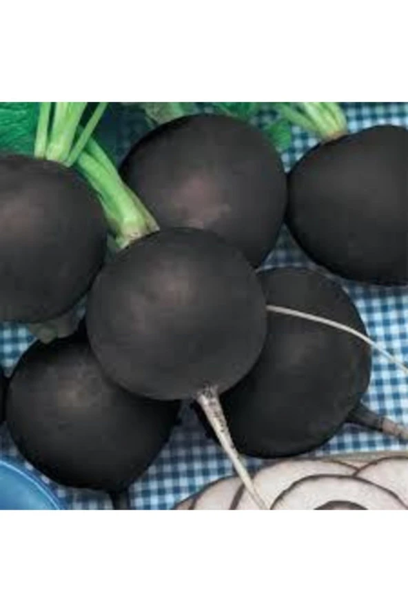 Tohum Siyah Turp Tohumu Kara Turp Tohumu + 50 Adet ürün görseli