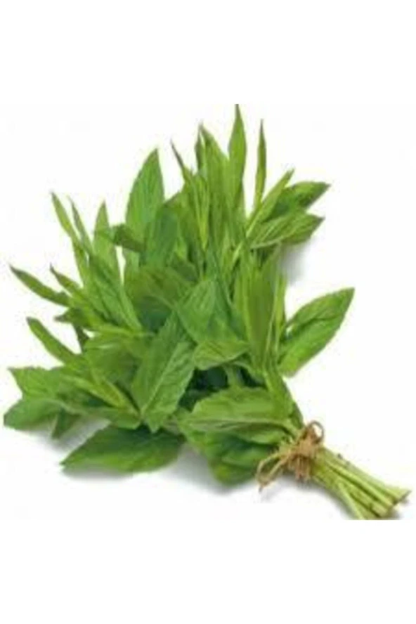 100 Adet Tohum Geleneksel Yediveren Nane Tohumu Sebze Tohumu - Resim 2