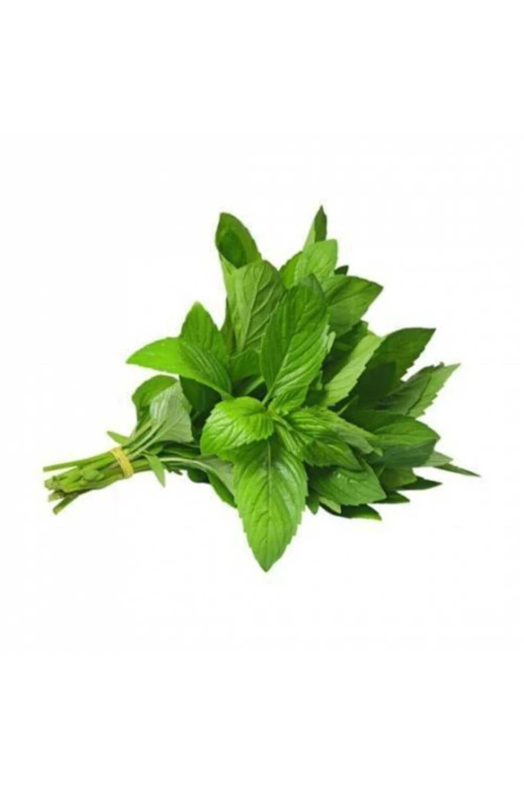 100 Adet Tohum Geleneksel Yediveren Nane Tohumu Sebze Tohumu - Resim 3