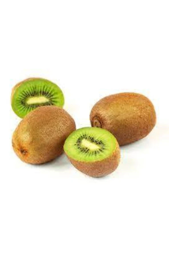 Tohum Kivi Ağacı Tohumu Yeşil Tatlı Kivi Tohumu Sürpriz Hediye Bonsai Ağacı Tohumludur  10 Adet ürün görseli 1