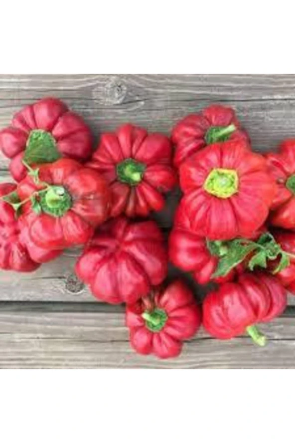 50 Adet Tohum Nadir Bulunan Kamber Domates Biber Tohumu Sürpriz Hediye Tohumlu - Resim 3