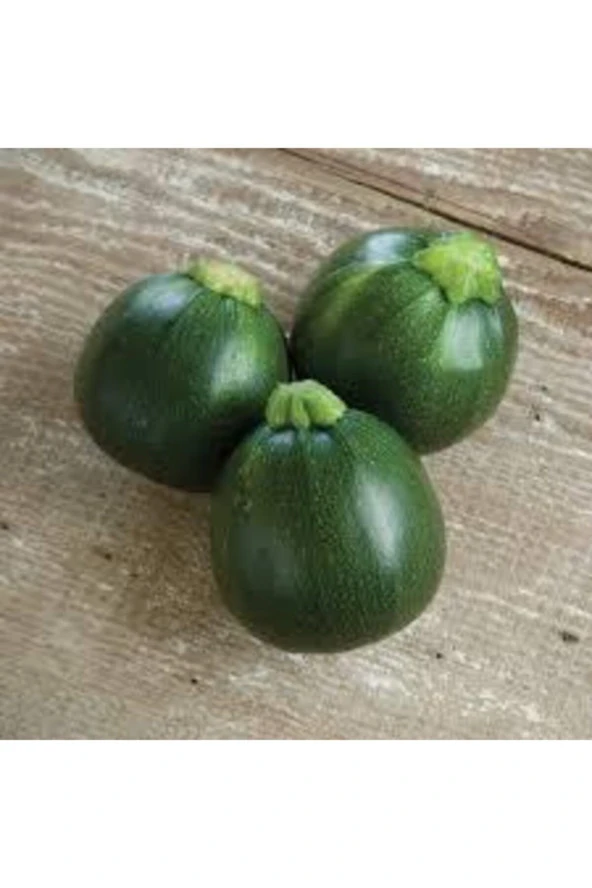 20 Adet Tohum Süper Paket Dolmalık Nadir Topak Kabak Tohumu Yuvarlak Kabak Tohumu Heiye Tohumludur - Resim 3