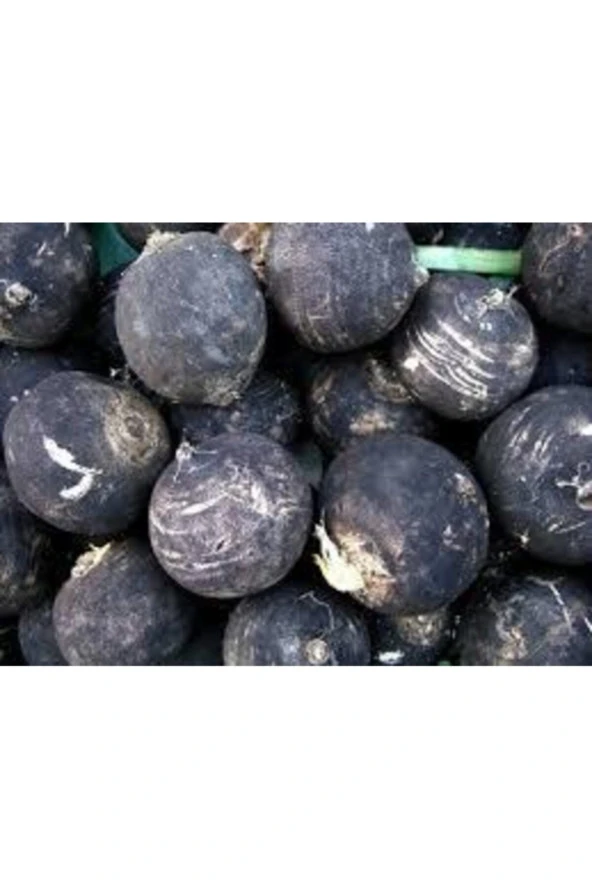 Tohum Siyah Turp Tohumu Kara Turp Tohumu + 50 Adet - Resim 3