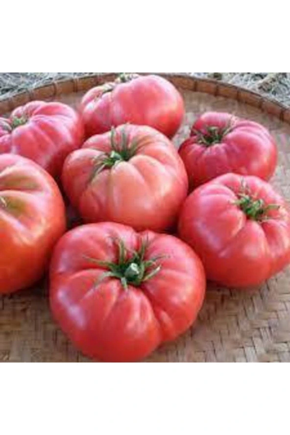 50 Adet Tohum Orjinal Köy Domatesi Tohumu - Resim 3