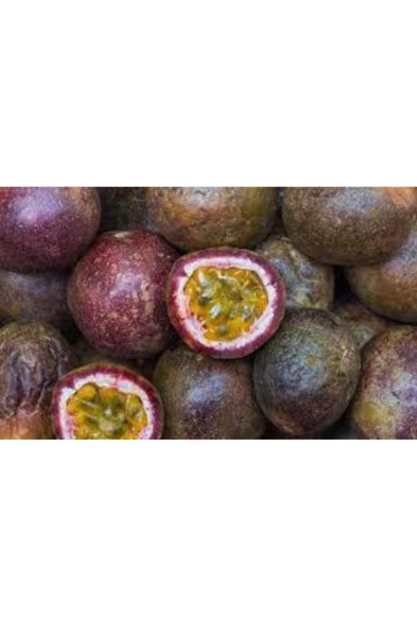 Tohum Ithal Passiflora Meyvesi Tohumu  3 Adet - Resim 3