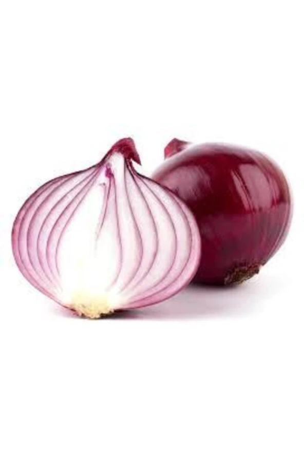 25 Adet Tohum Kışlık Kuru Soğan Tohumu - Resim 3