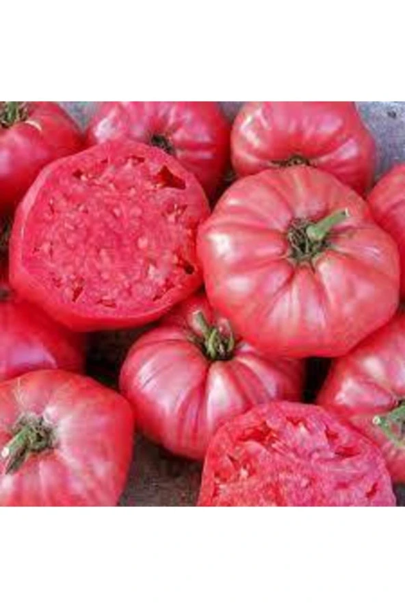 Tohum Orjinal Köy Domatesi Tohumu 20 Adet - Resim 3