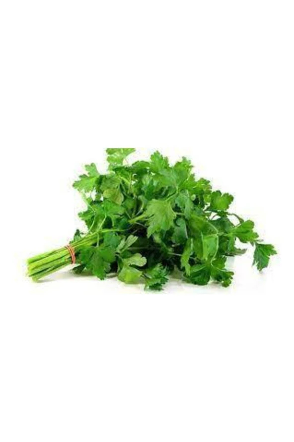 Tohum Geniş Yaprak Maydonoz Tohumu 250 Adet ürün görseli