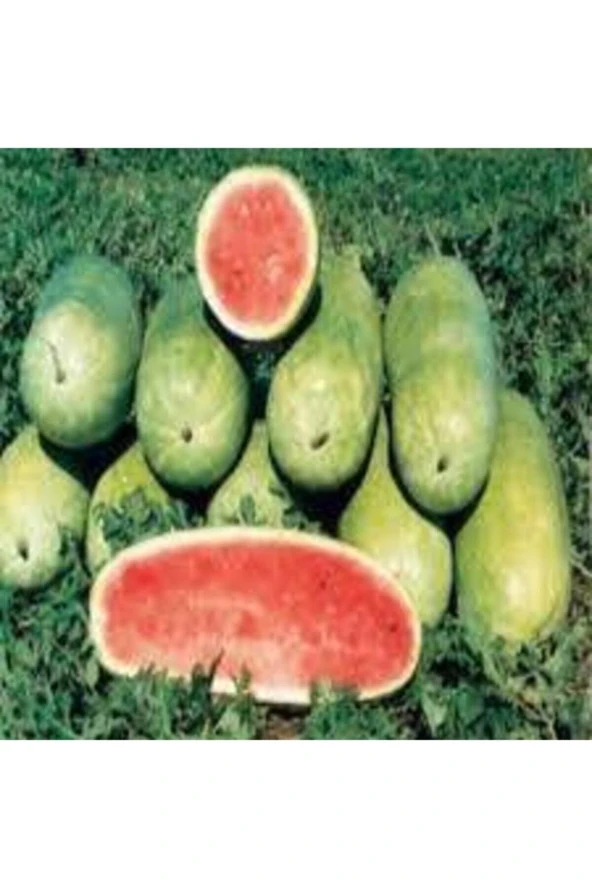 100 Adet Tohum Nadir Ithal Çarliston Gray Karpuz Tohumu Özel Tohum Kaliteli Karpuz Charleston Gray - Resim 2
