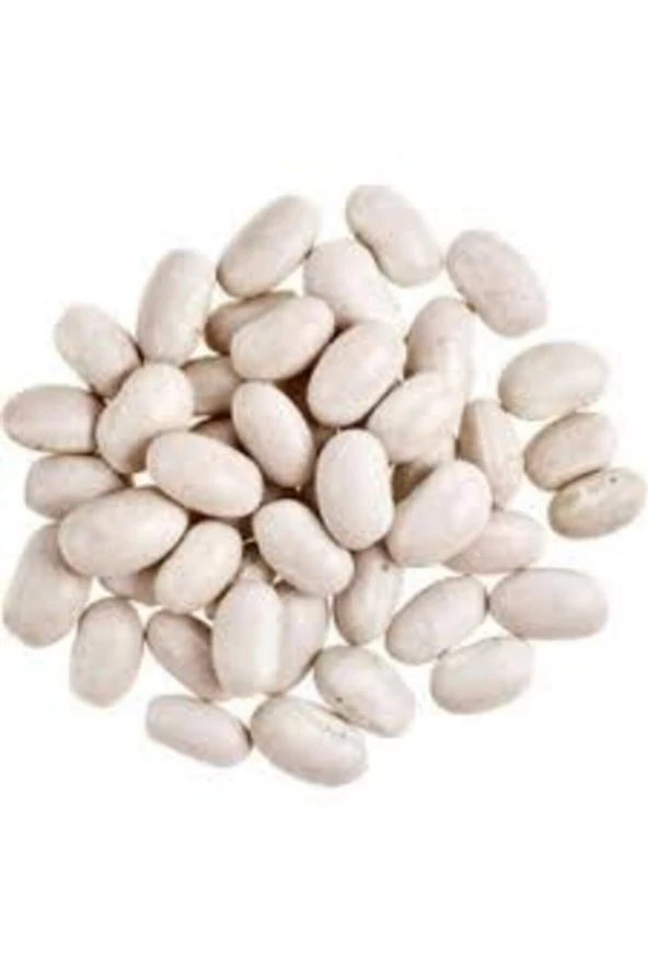 500 Adet Tohum Beyaz Fasulye Tohumu ürün görseli