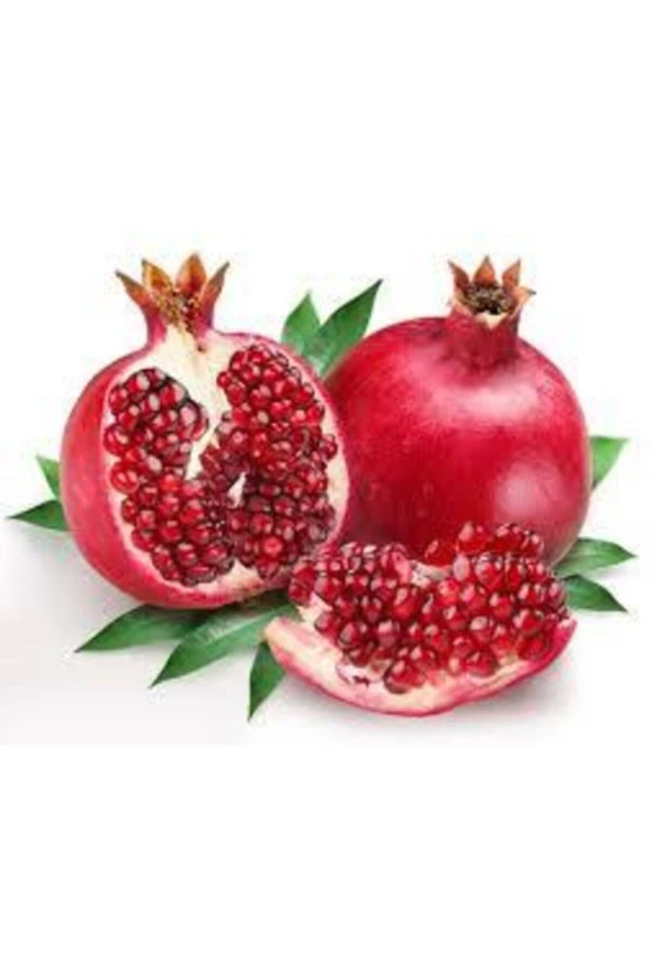 5 Adet Tohum Nar Ağacı Tohumu ürün görseli 1