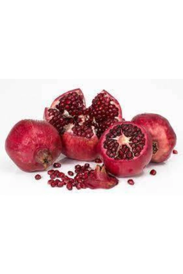 5 Adet Tohum Nar Ağacı Tohumu - Resim 2