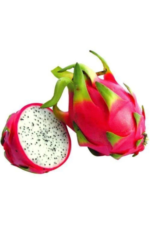 5 Adet Tohum Ithal Nadir Tropikal Saksılık Pitaya Meyvesi Tohum Ejder Meyvesi Tohum Saksı Toprak ürün görseli