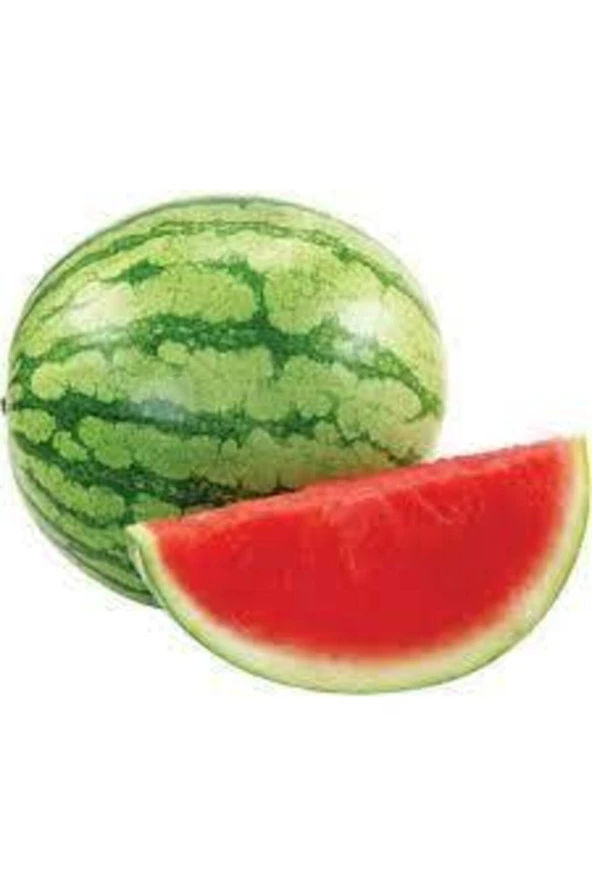 5 Adet Tohum Ithal Thailand Çekirdeksiz Karpuz Ata Tohum - Resim 2