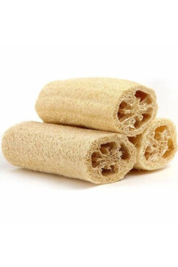 5 Adet Tohum Lif Kabak Tohumu Kabak Tohumu Lif Kabağı Tohumu Sürpriz Hediye Tohum ürün görseli