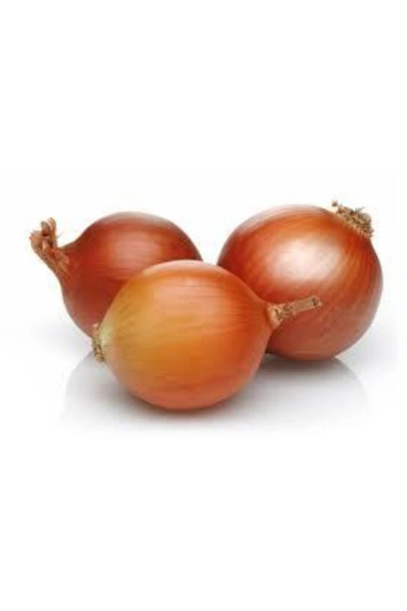 25 Adet Tohum Kışlık Kuru Soğan Tohumu Yerli Tohum Orjinal Soğan Tohumu Sürpriz Hediye - Resim 2