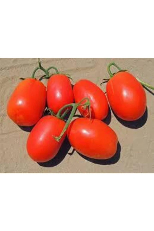 20 Adet Tohum Italyan Rio Grande Domates Tohumu Saksı Toprak Süpriz Hediye Tohum - Resim 3